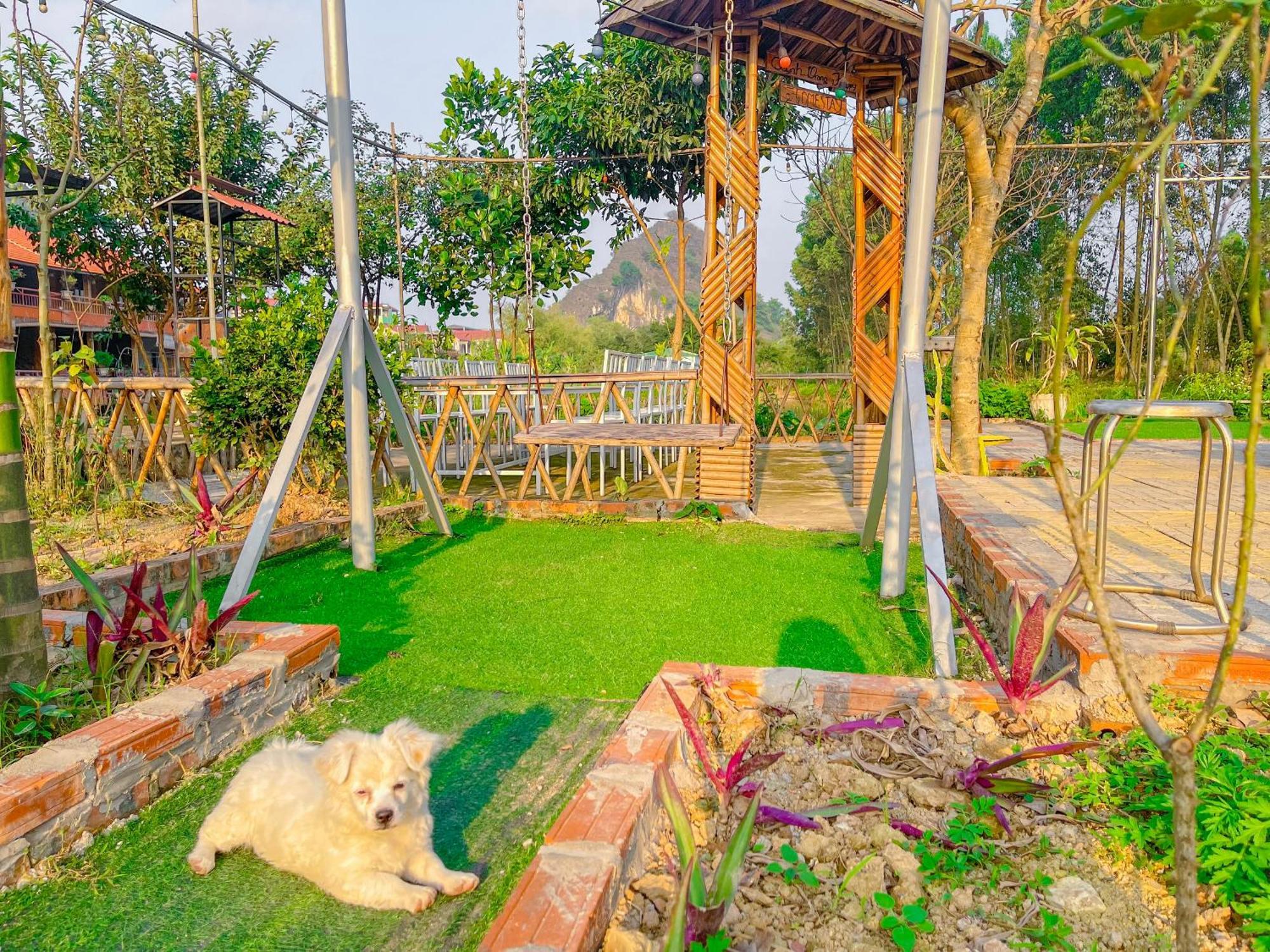 Trang An Quynh Trang Happy Homestay & Garden Ninh Bình Extérieur photo
