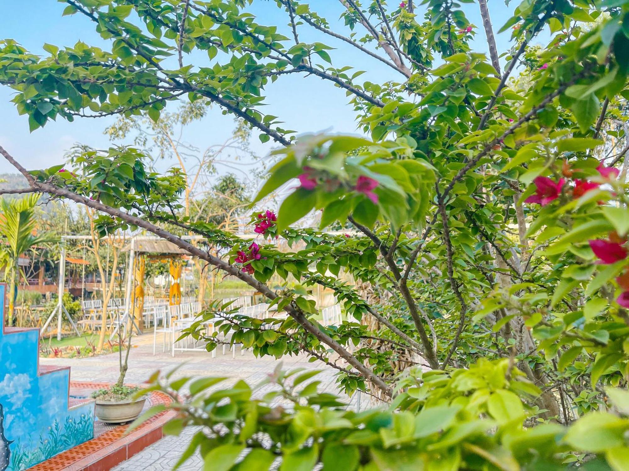 Trang An Quynh Trang Happy Homestay & Garden Ninh Bình Extérieur photo