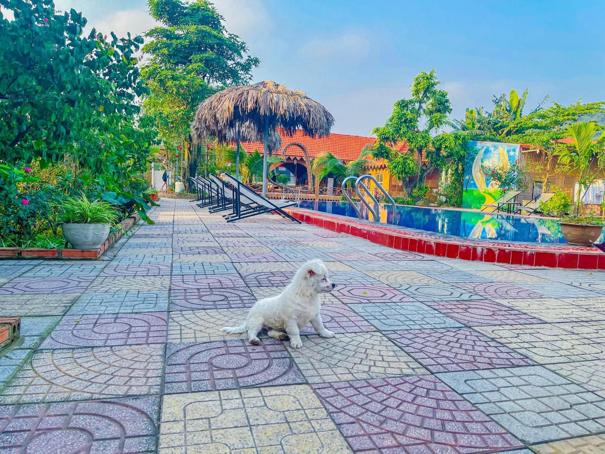 Trang An Quynh Trang Happy Homestay & Garden Ninh Bình Extérieur photo
